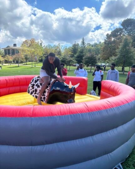 Mechanical bull